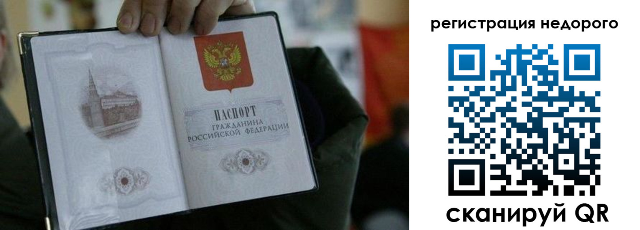 временная регистрация поиск в Электрогорске